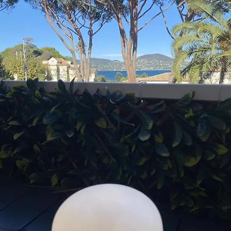 Appartement Studio A Tropez Avec Terasse Face A La Mer *